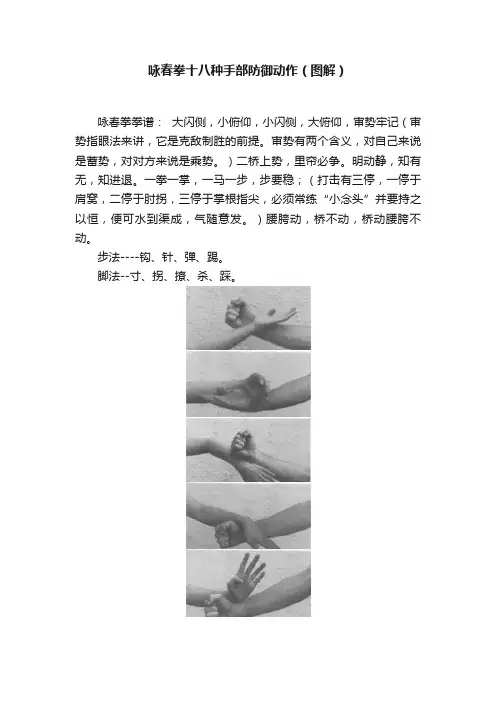 咏春拳十八种手部防御动作（图解）