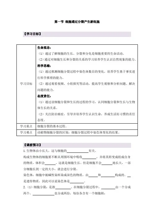 人教版(2024新板)七年级生物上册第一单元第三章第一节《细胞通过分裂产生新细胞》导学案