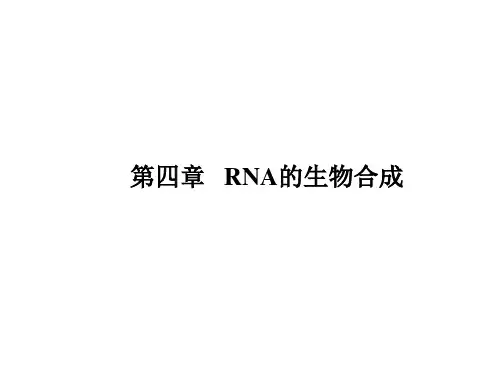 分子生物学 第四章   RNA的生物合成