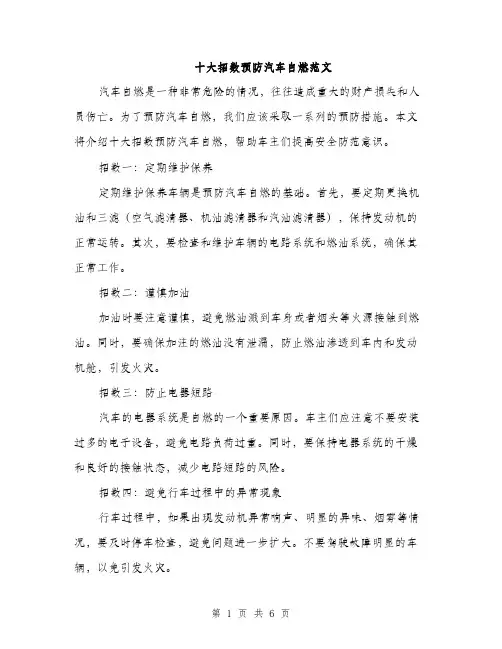 十大招数预防汽车自燃范文（二篇）
