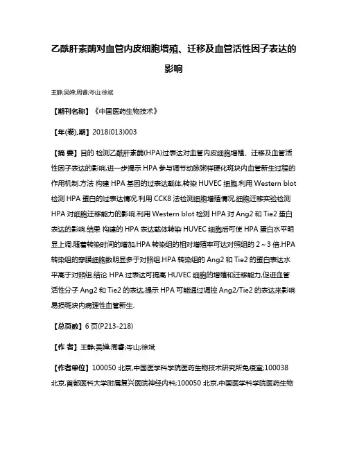 乙酰肝素酶对血管内皮细胞增殖、迁移及血管活性因子表达的影响
