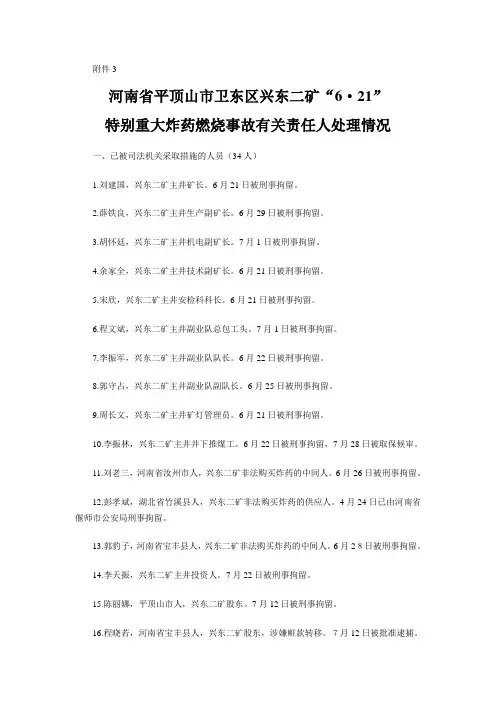 河南平顶山“6、21”事故处理情况