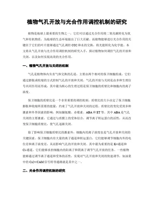植物气孔开放与光合作用调控机制的研究