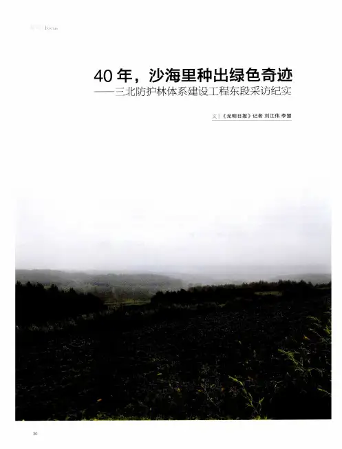 40年,沙海里种出绿色奇迹——三北防护林体系建设工程东段采访纪实