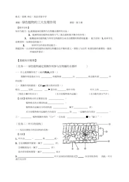 生物人教版七年级上册植物三大生理作用