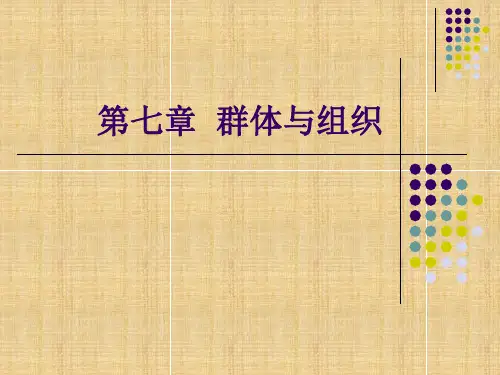 社会学概论课件自考群体和组织