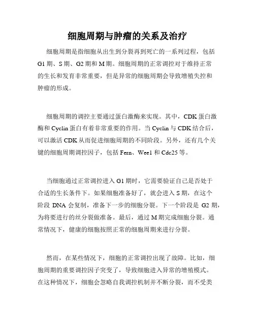 细胞周期与肿瘤的关系及治疗
