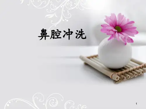 鼻腔冲洗PPT演示课件