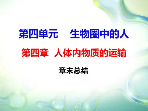 第四章章末复习总结-2020春人教版七年级下册生物课件(共28张PPT)