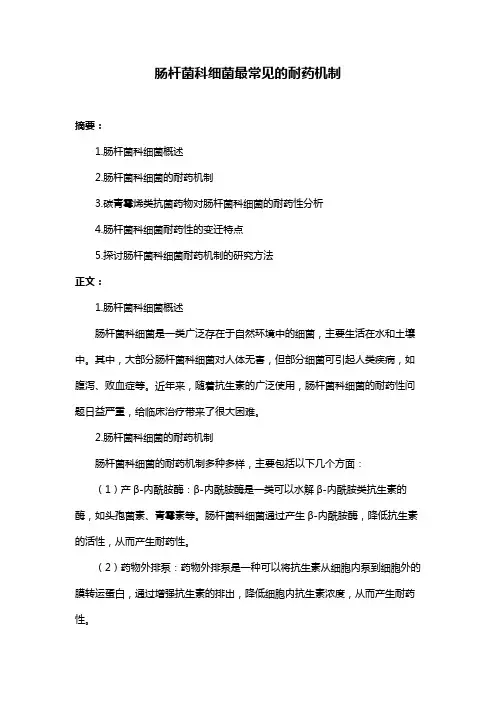 肠杆菌科细菌最常见的耐药机制