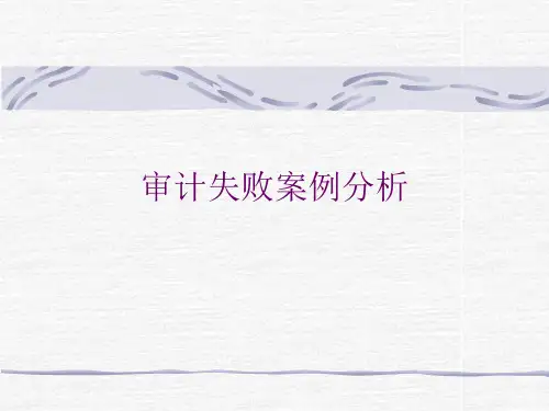 审计失败案例分析