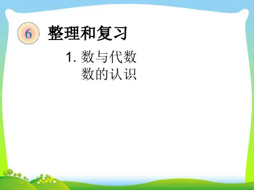 202X人教版六下数学第六单元 整理和复习数与代数 数的认识 课件