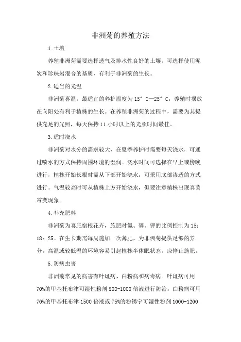 非洲菊的养殖方法
