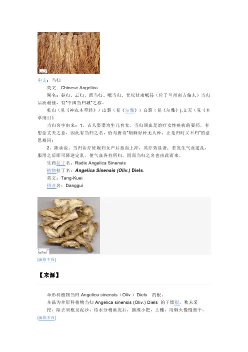 当归说明,中草药