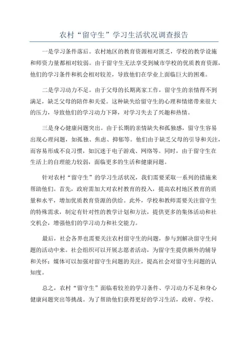 农村“留守生”学习生活状况调查报告