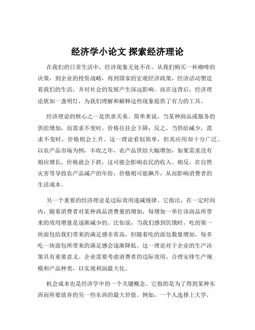 经济学小论文 探索经济理论