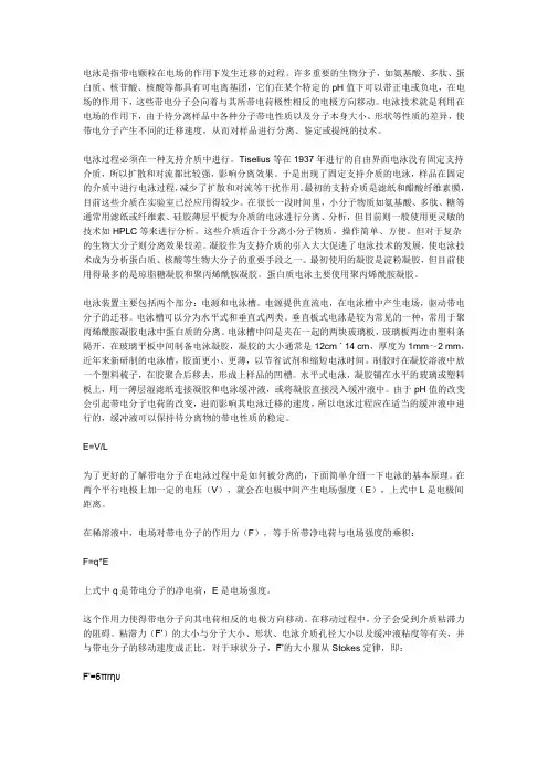 电泳