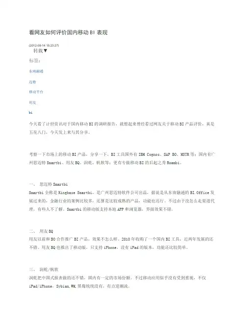 看网友如何评价国内移动BI表现