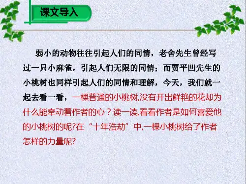 18课一棵小桃树课件ppt