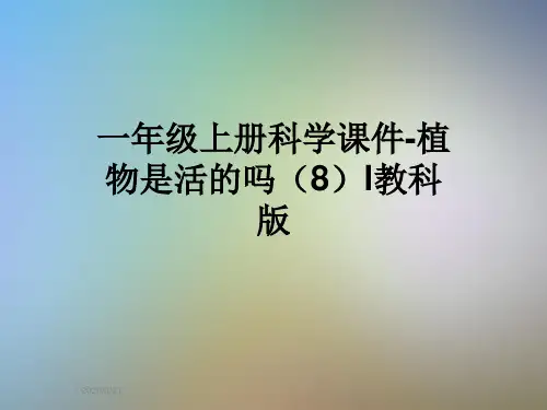 一年级上册科学课件-植物是活的吗(8)l教科版