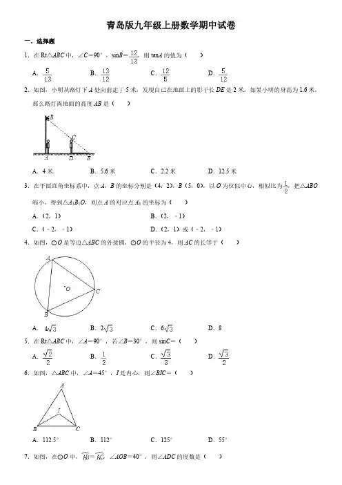 青岛版九年级上册数学期中试卷