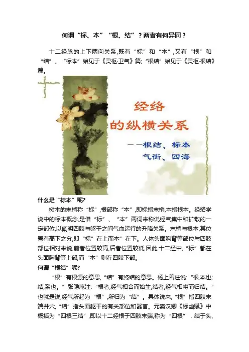 何谓“标、本”“根、结”？两者有何异同？