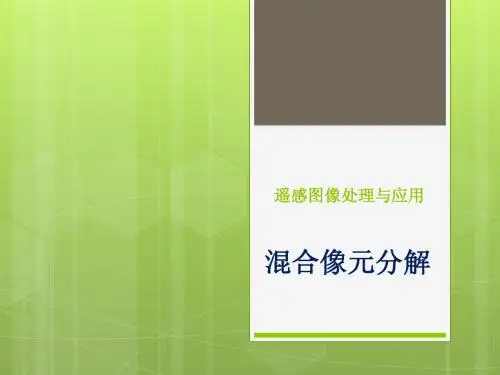 04 混合像元分解截取