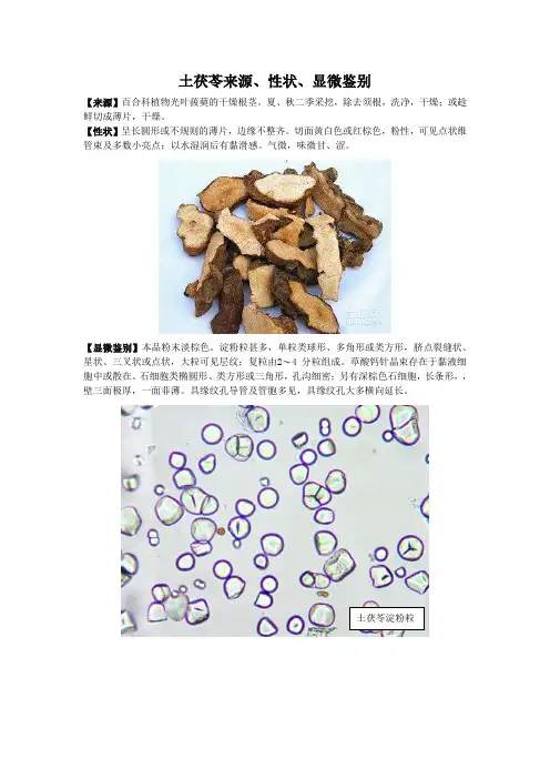 土茯苓来源、性状、显微鉴别
