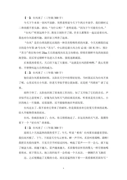 精选台风来了三年级作文五篇