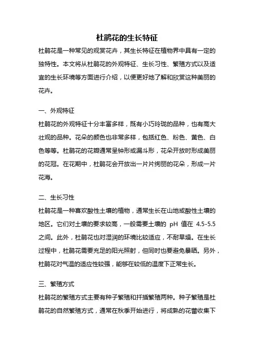 杜鹃花的生长特征