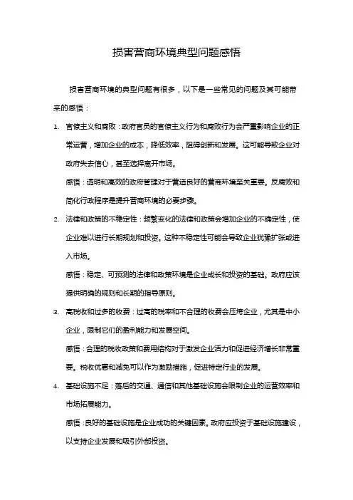 损害营商环境典型问题感悟