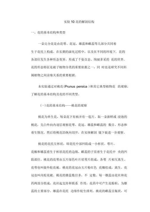 花的解剖结构