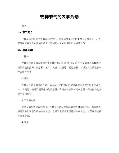 芒种节气的农事活动