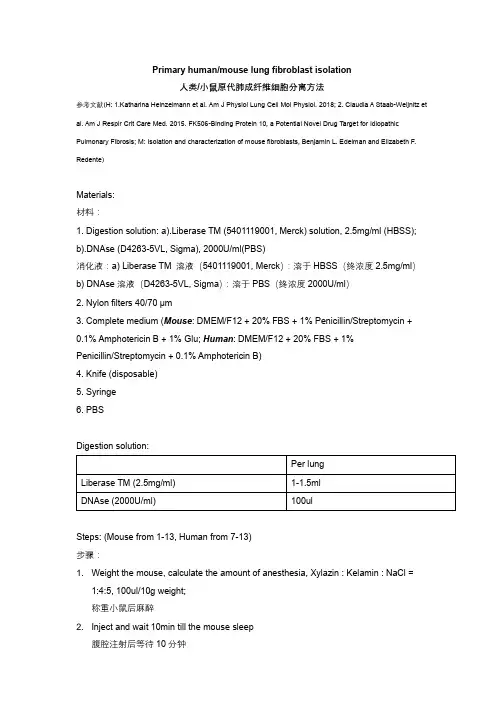 人类小鼠原代肺成纤维细胞分离方法