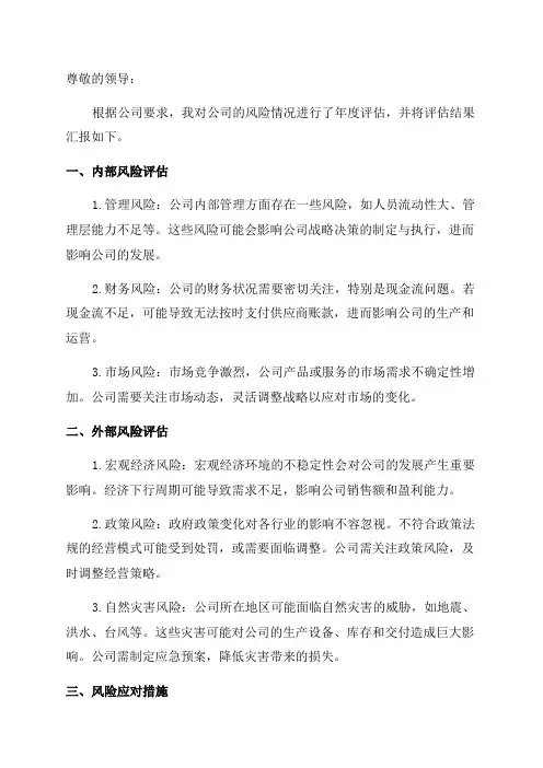 年度风险评估报告