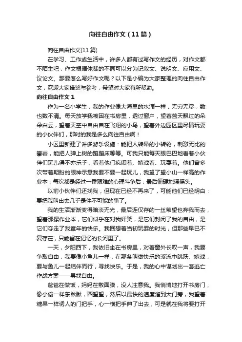 向往自由作文（11篇）