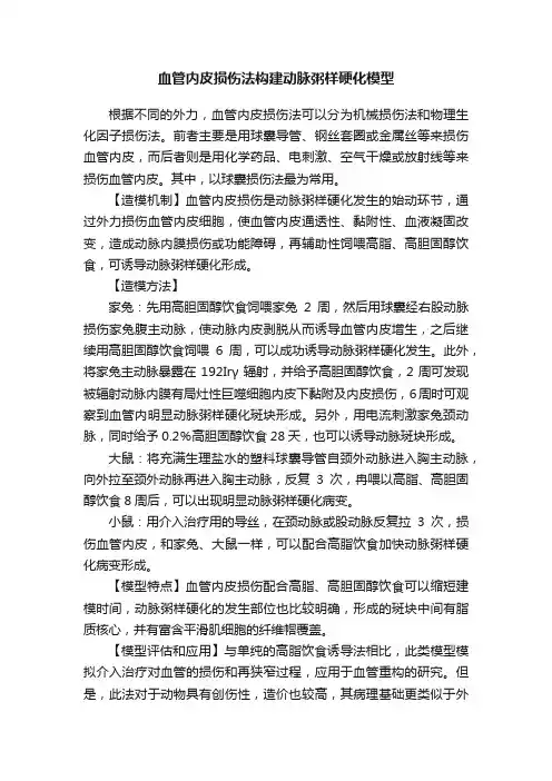 血管内皮损伤法构建动脉粥样硬化模型