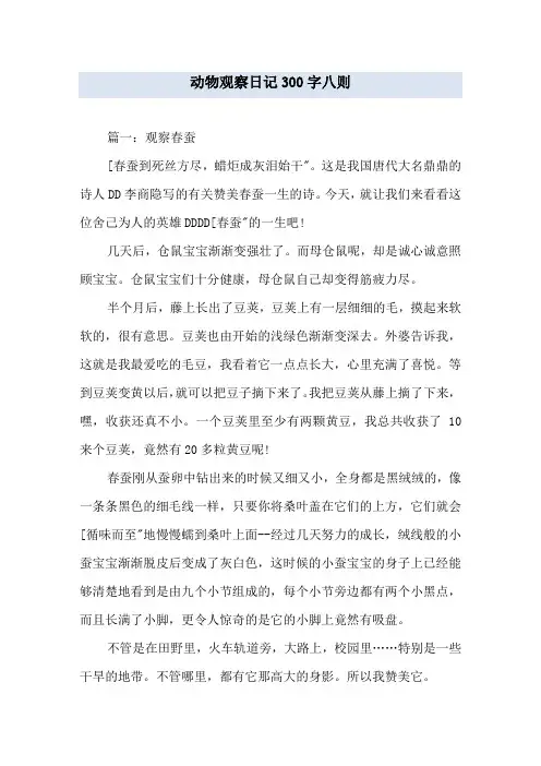 动物观察日记300字八则