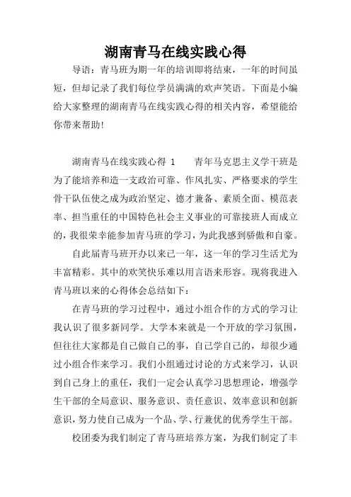 湖南青马在线实践心得