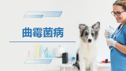 犬猫的传染病(曲霉菌病)-宠物医生课件
