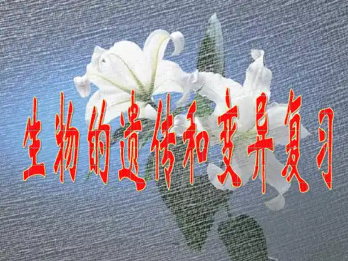 生物的遗传和变异复习课件ppt课件