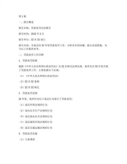 罚款处罚总结报告范文(3篇)