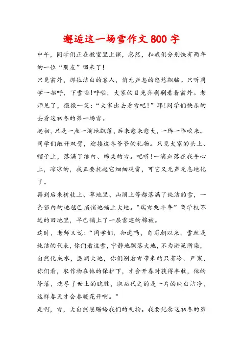 邂逅这一场雪作文800字