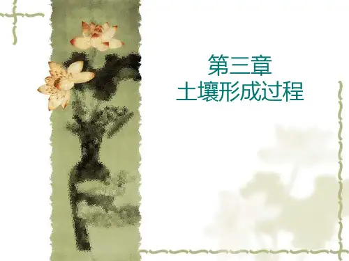 第三章 土壤形成过程