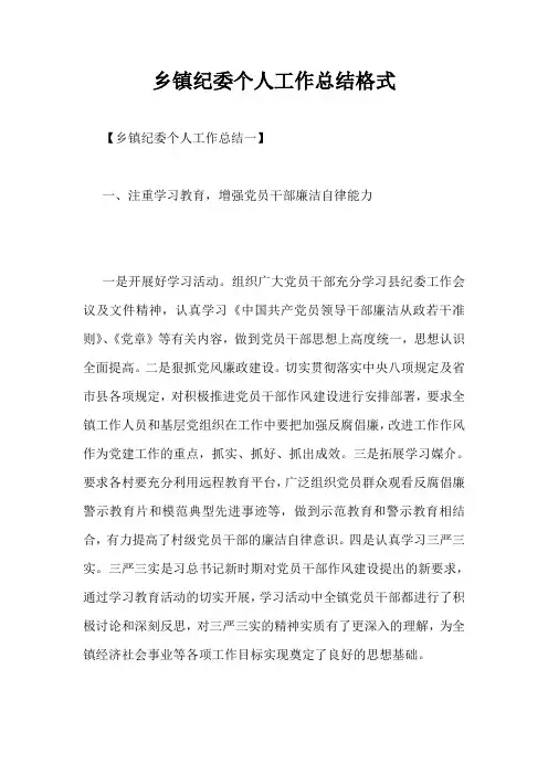 乡镇纪委个人工作总结格式