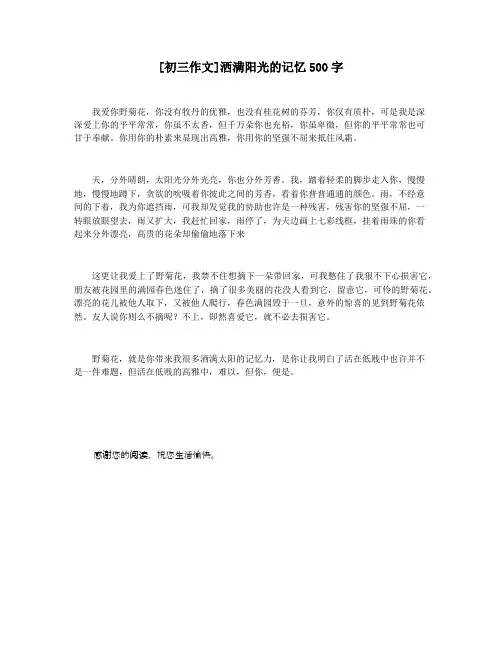 [初三作文]洒满阳光的记忆500字