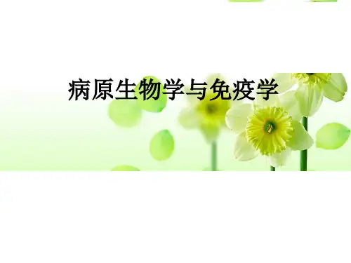 病原生物学与免疫学基础绪论ppt课件