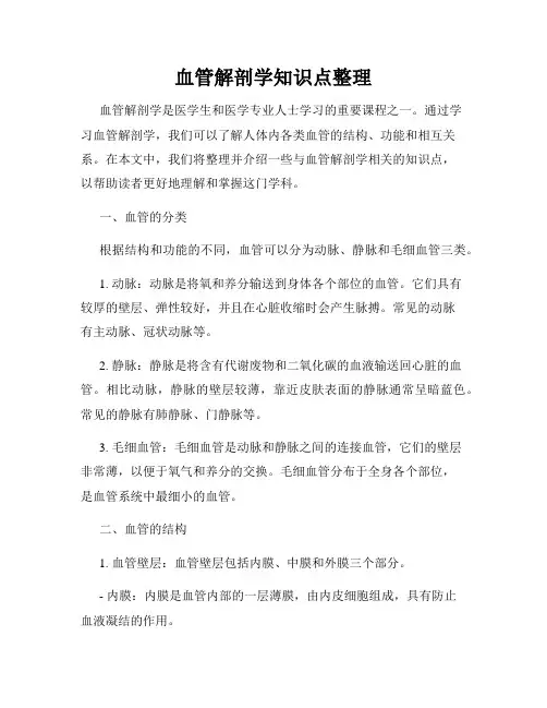 血管解剖学知识点整理