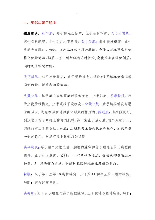 肌肉起止点宋