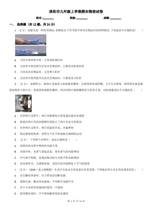 洛阳市九年级上学期期末物理试卷